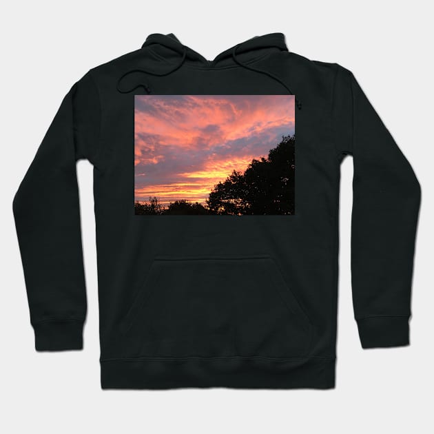 Red Sky In The Morning... Hoodie by archiesgirl